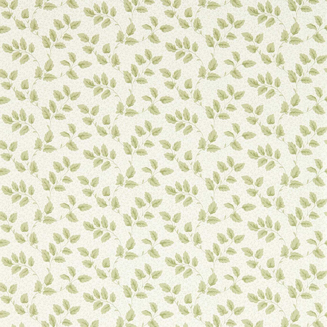 Tomato Leaf Green