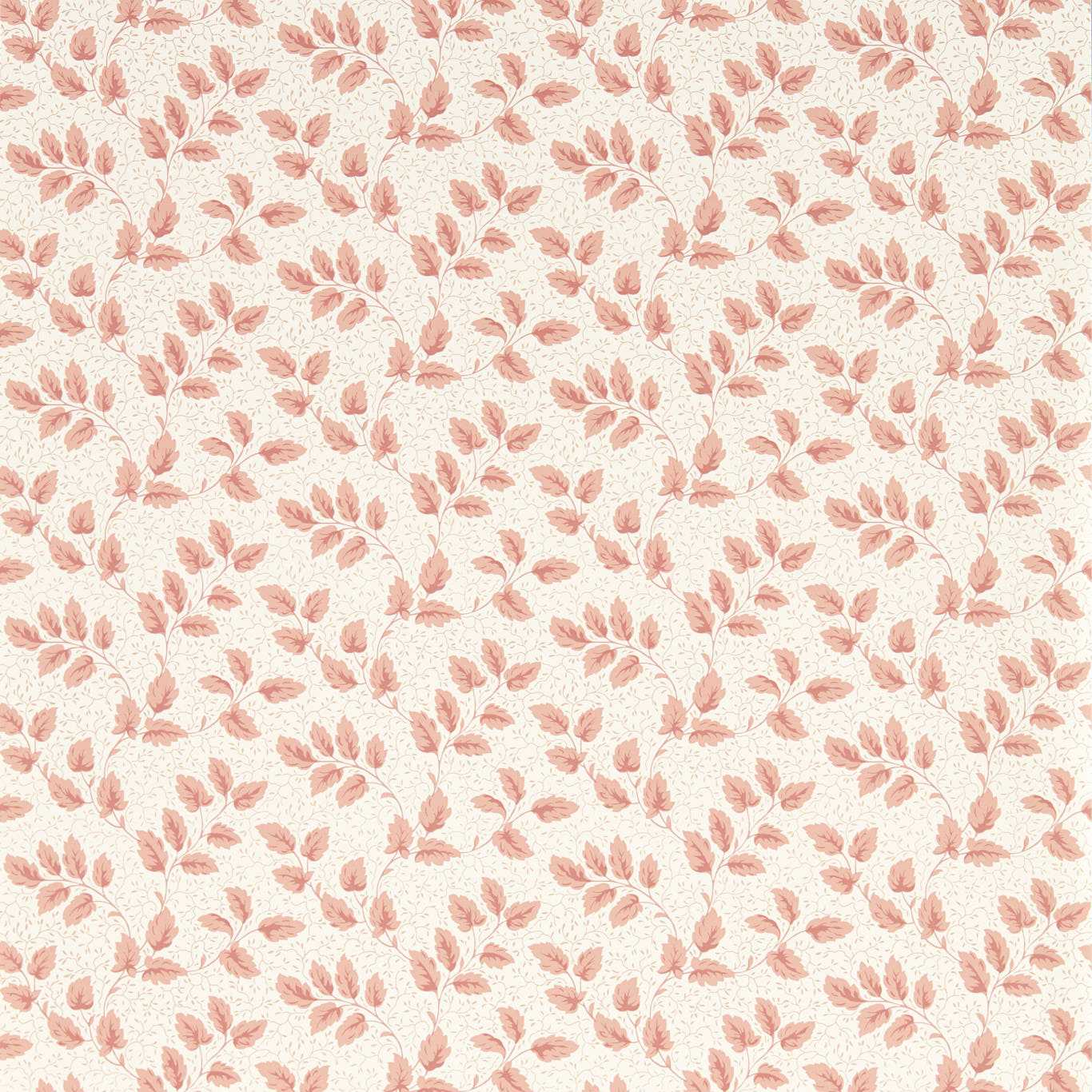 Tomato Leaf Pink Clay